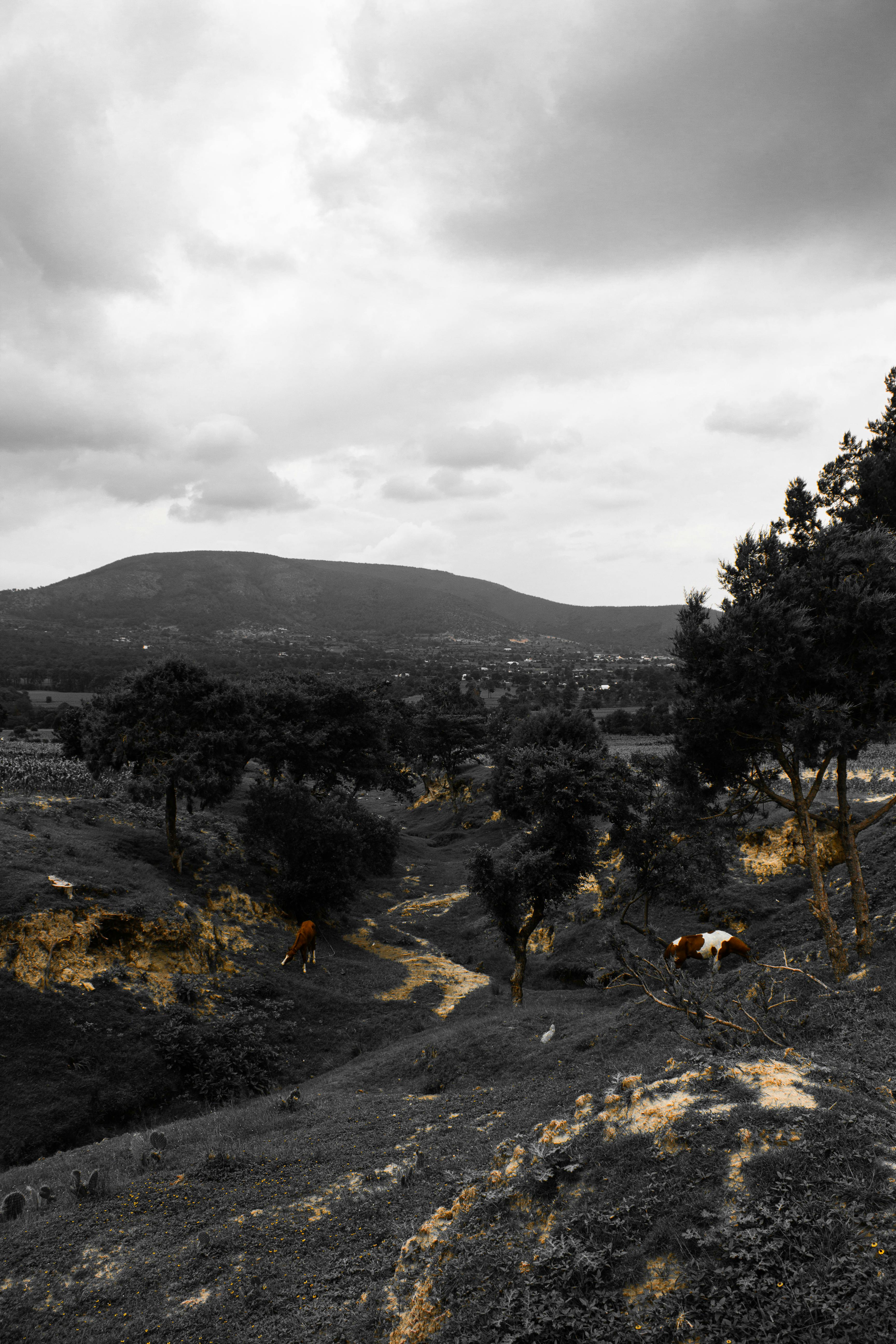 Dark sky with brooding, rolling hills