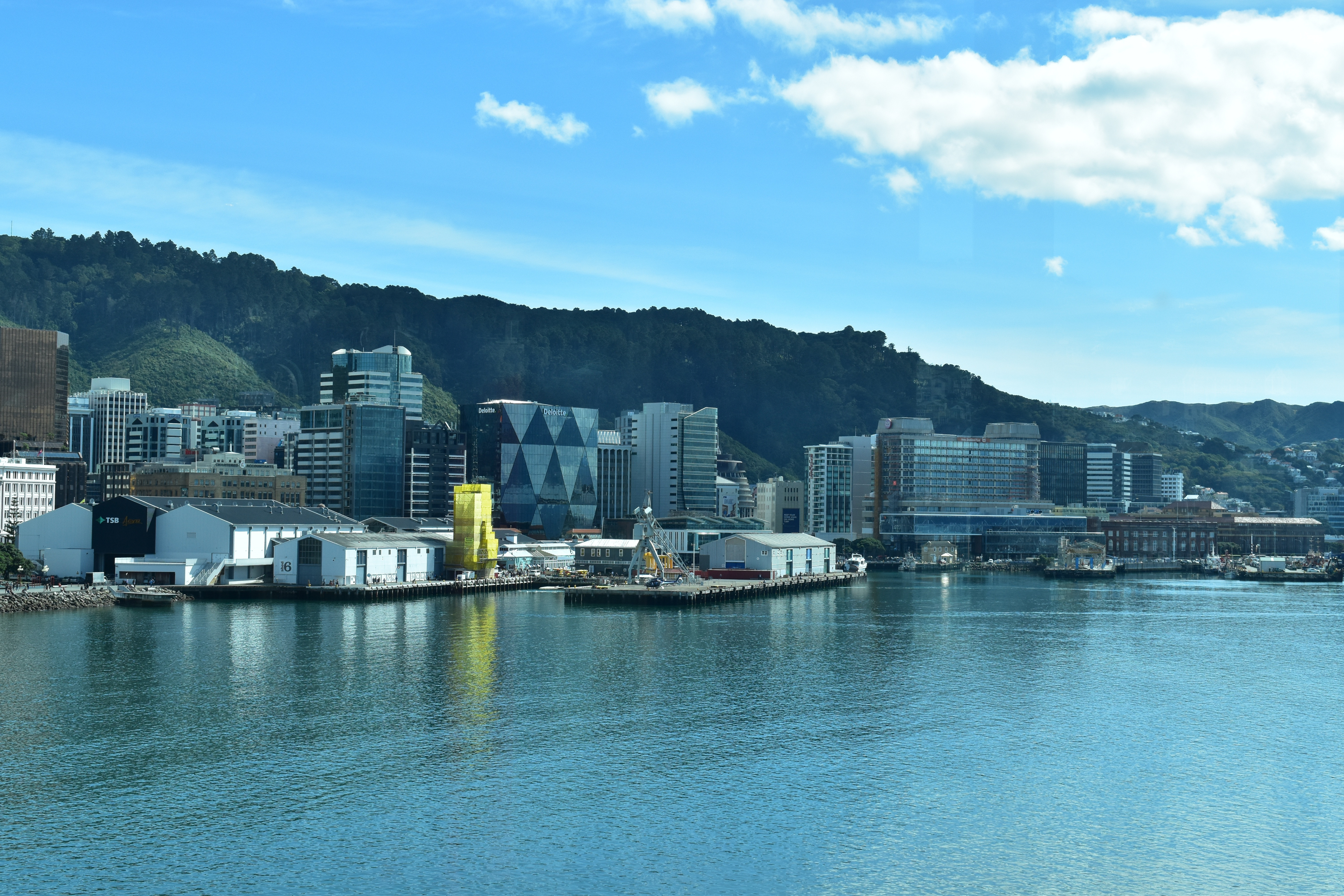 Wellington Harbour on a nice day